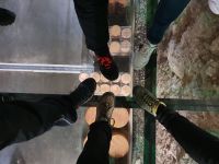 Käserei Plangger Felsenkeller in Niederndorf.jpg