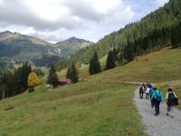 IAuf dem Rundwanderweg im Bärgunttal