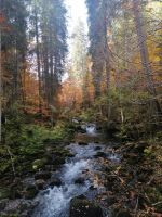 Wanderung durch das Schwarzwassertal