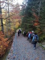 Wanderung zur Breitachklamm