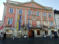 Das Rathaus in Wiener Neustadt 