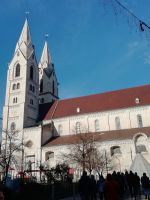 Dom in Wiener Neustadt 