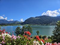 Ausblick vom Hotel auf den Walchsee.jpg