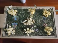 Verkostung in der Felsenkäserei Plangger.jpg