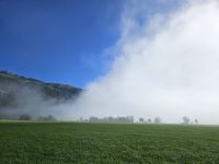 Nebel in Walchsee.jpg