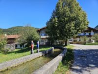 Bach in Nußdorf.jpg