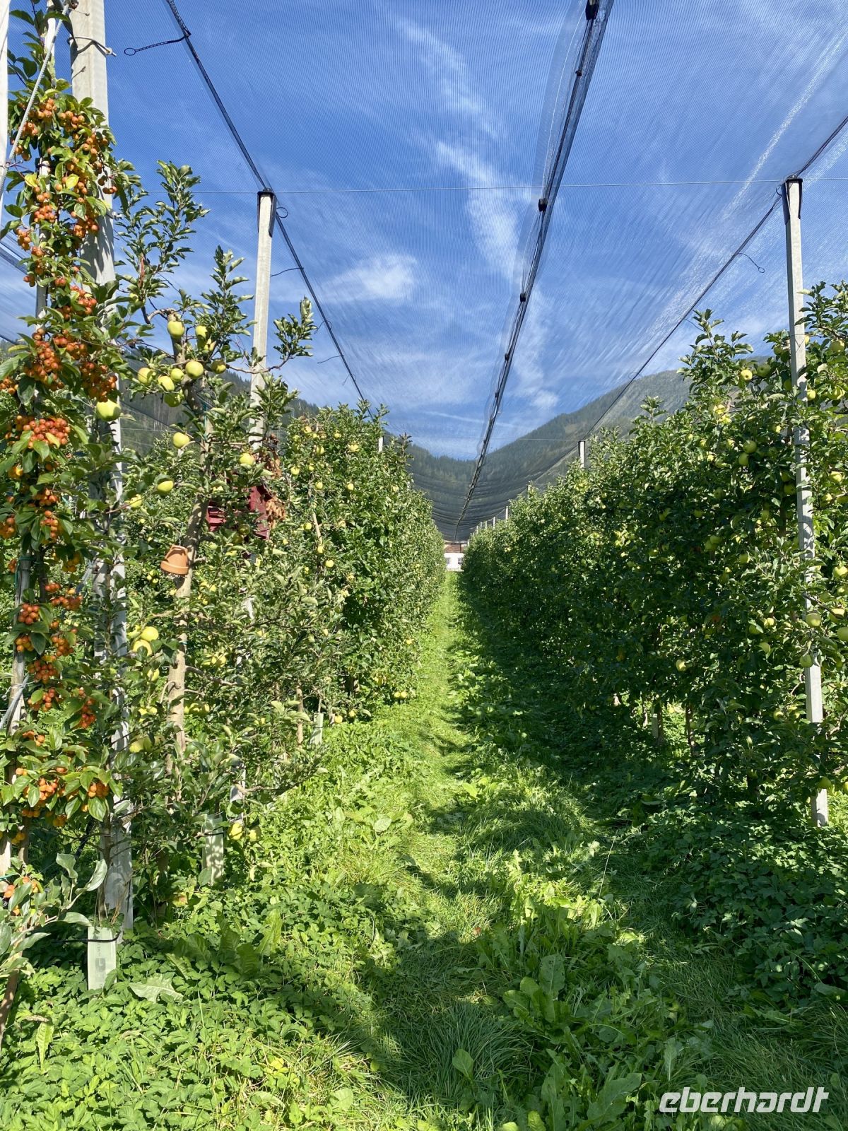 Tag 5 - Edelbrennerei Kuenz