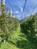 Tag 5 - Edelbrennerei Kuenz