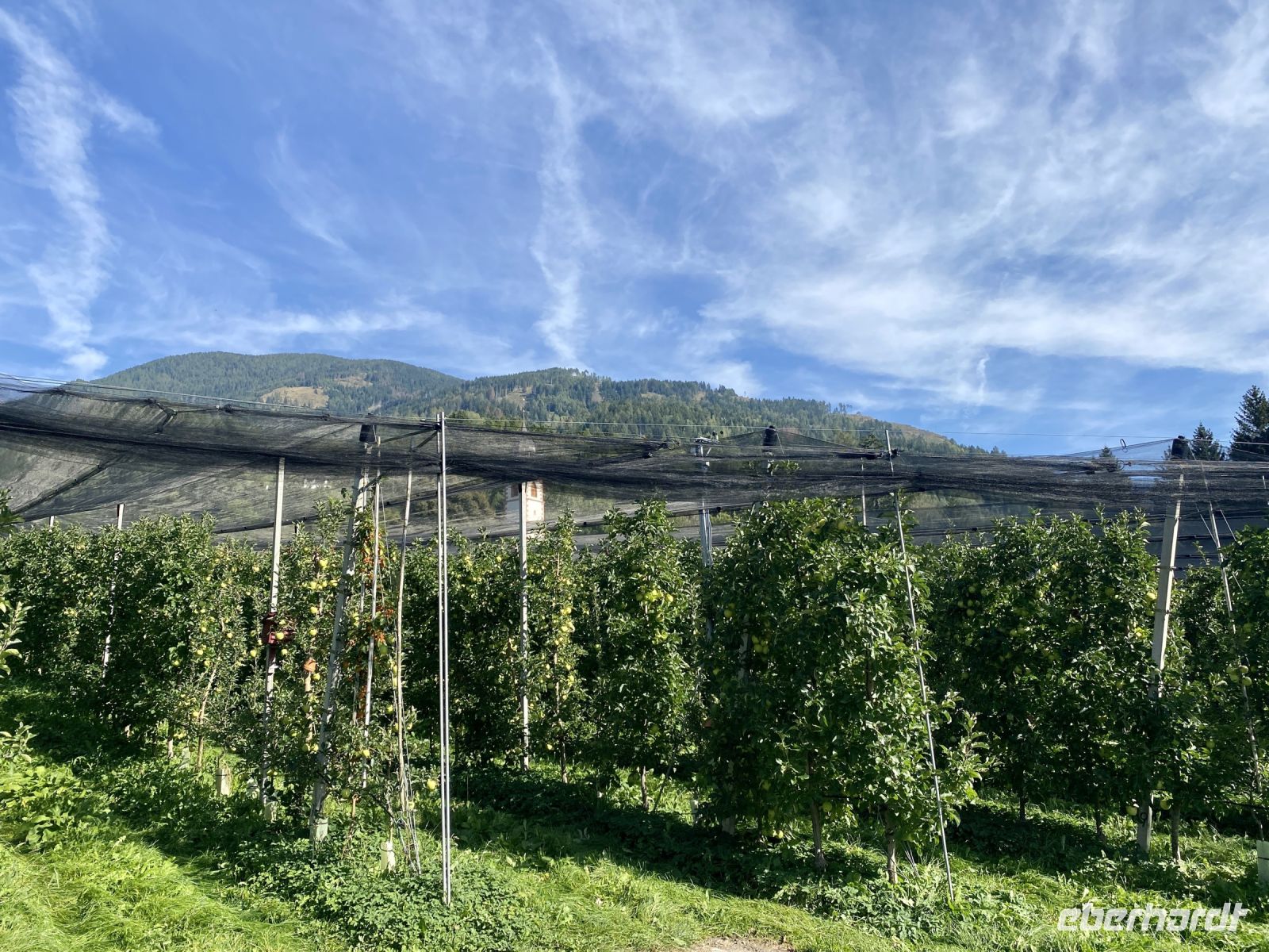 Tag 5 - Edelbrennerei Kuenz