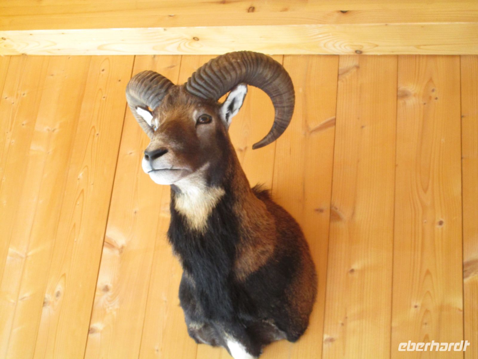 Abschied vom Hotel Stillebach