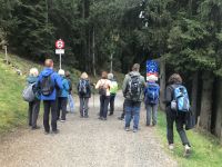 zurück nach Österreich