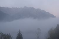 Früh morgens am Walchsee