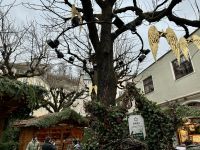 3. Reisetag – Ausflug nach Salzburg zum Christkindlmarkt – Markt am Sternbräu