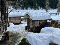 4. Reisetag – Ausflug in die Alpen – Spaziergang um den Steirischen Bodensee