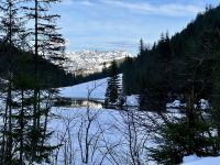 4. Reisetag – Ausflug in die Alpen – Spaziergang um den Steirischen Bodensee