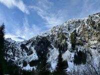 4. Reisetag – Ausflug in die Alpen – Spaziergang um den Steirischen Bodensee