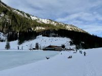4. Reisetag – Ausflug in die Alpen – Spaziergang um den Steirischen Bodensee – Gasthaus Forellenhof