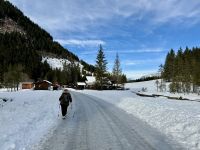 4. Reisetag – Ausflug in die Alpen – Spaziergang vom Forellenhof zurück zum Parkplatz