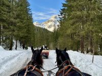 4. Reisetag – Ausflug in die Alpen – Kutsch-/Schlittenfahrt von Filzmoos zur Unterhofalm