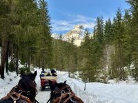 4. Reisetag – Ausflug in die Alpen – Kutsch-/Schlittenfahrt von Filzmoos zur Unterhofalm
