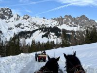 4. Reisetag – Ausflug in die Alpen – Kutsch-/Schlittenfahrt von Filzmoos zur Unterhofalm