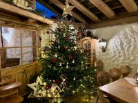 4. Reisetag – Ausflug in die Alpen – Weihnachtsbaum auf der Unterhofalm