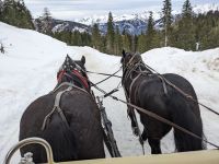 Mit 2 PS zur Pritzhütte hinauf auf 1800 m.