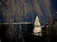 Im Hintergrund die Lichter von Gmunden