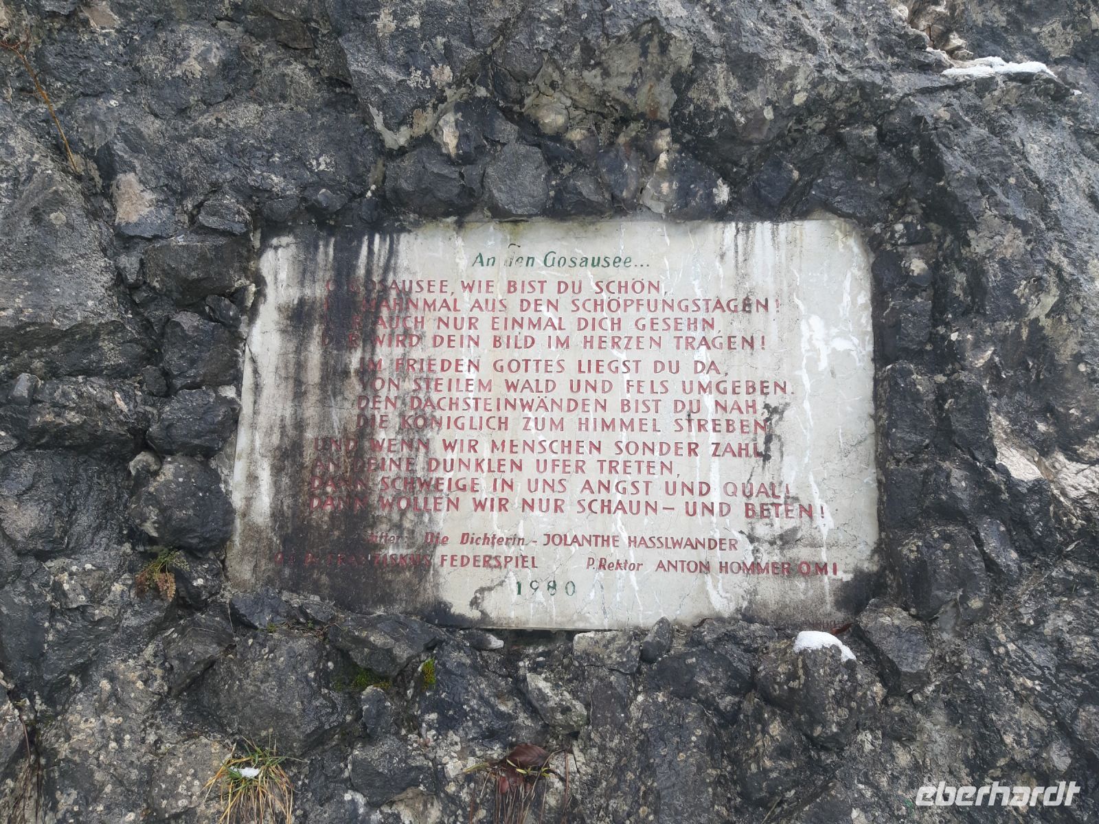 Und Recht hat er: Der Gosausee ist echt schön!