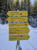 Wegmarkierung unterwegs - lila Schild für Winterwanderweg