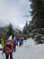 Abstieg im Langenbachtal