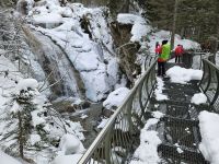 Brücke über den Langenbach Wasserfall