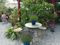 Bio Feigenhof, Vielfalt aus dem Himmelreich, Feigen,Kräuter, Gemüse, Exoten u.v.m.