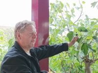 Bio Feigehof (Vielfalt aus dem Himmelreich, Feigen Kräuter, Gemüse,Exoten u.v.m.