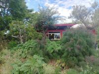 Bio Feigenhof, Vielfalt aus dem Himmelreich, Feigen,Kräuter, Gemüse, Exoten u.v.m.IMG 20240518 160220