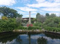 Bio Feigenhof, Vielfalt aus dem Himmelreich, Feigen,Kräuter, Gemüse, Exoten u.v.m.IMG 20240518 160315