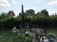 Wiener Zentralfriedhof, Ehrengräber