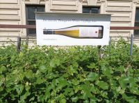 Wien, Kleinster Weinberg