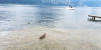 Tag 1 Abkühlung im Traunsee an der Strandpromenade Altmünster