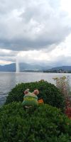 Tag 5 Blick auf Wasserfontäne und Schloss Ort am Traunsee Gmunden