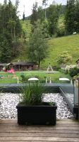 Blick vom Balkon - Pool; Streichelzoo; Spielplatz
