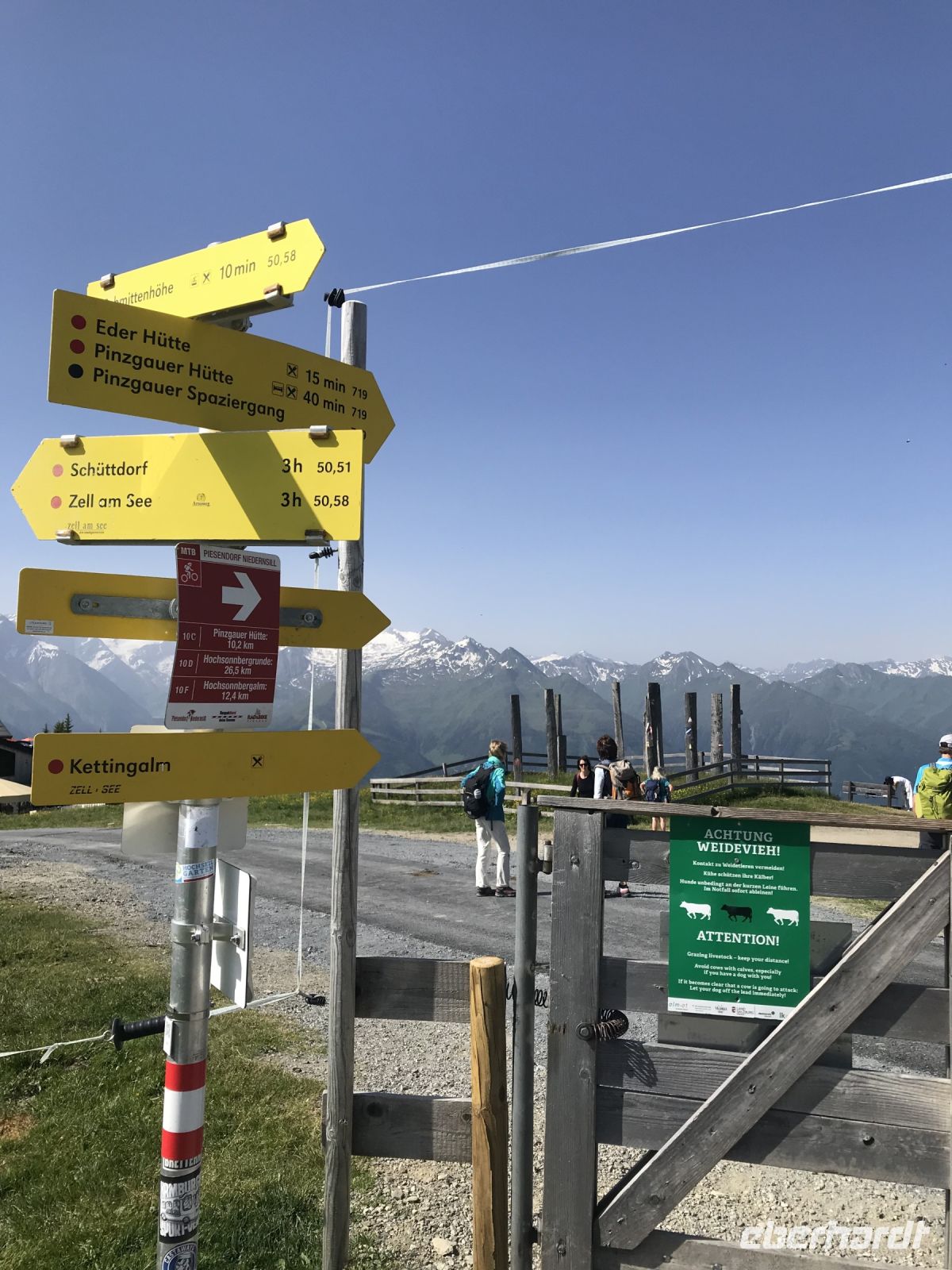 heute Pinzgauer Spaziergang