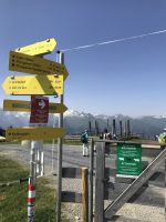 heute Pinzgauer Spaziergang