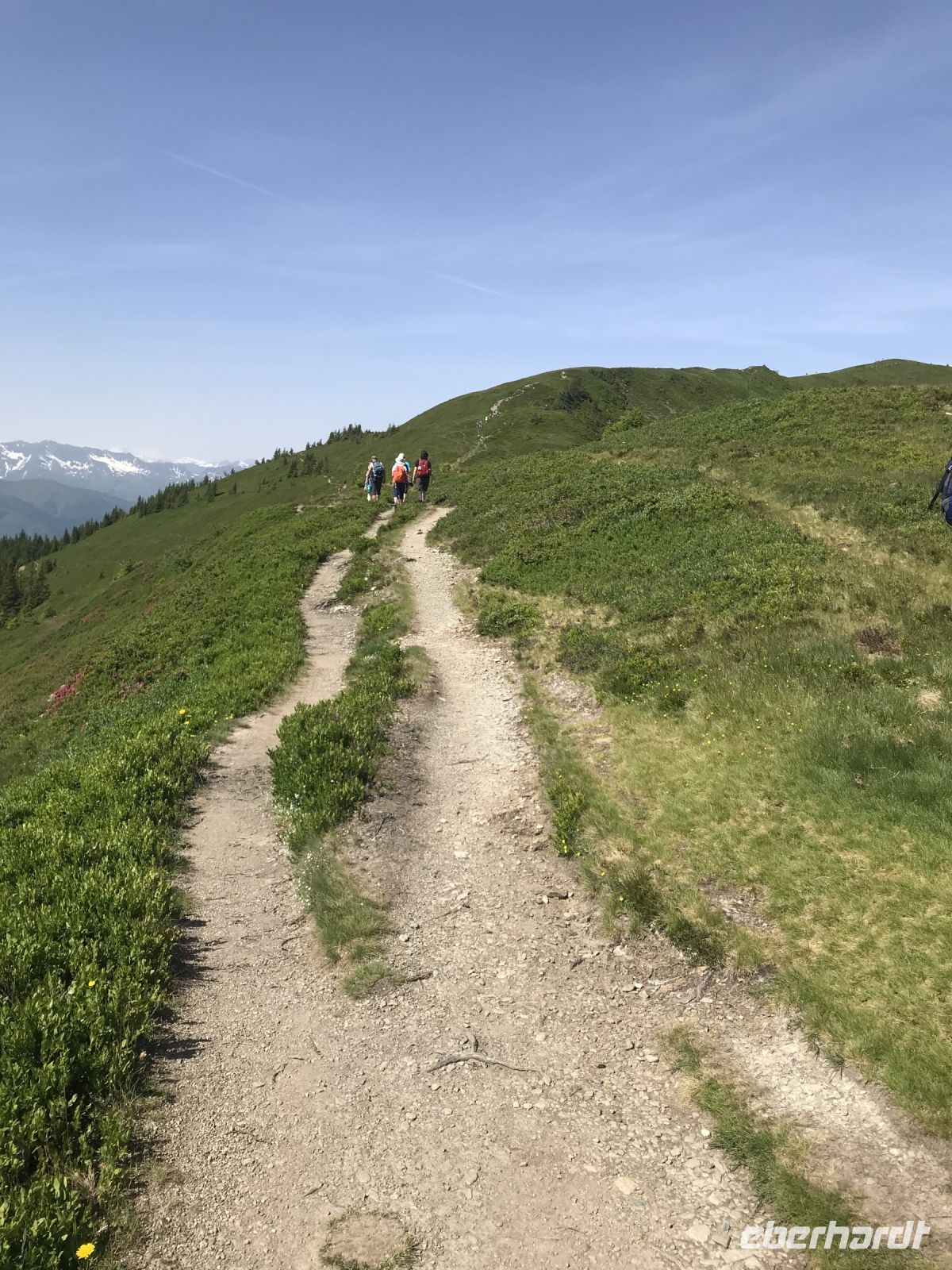 herrliches Wetter & tüchtig Bergauf!