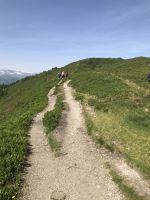 herrliches Wetter & tüchtig Bergauf!