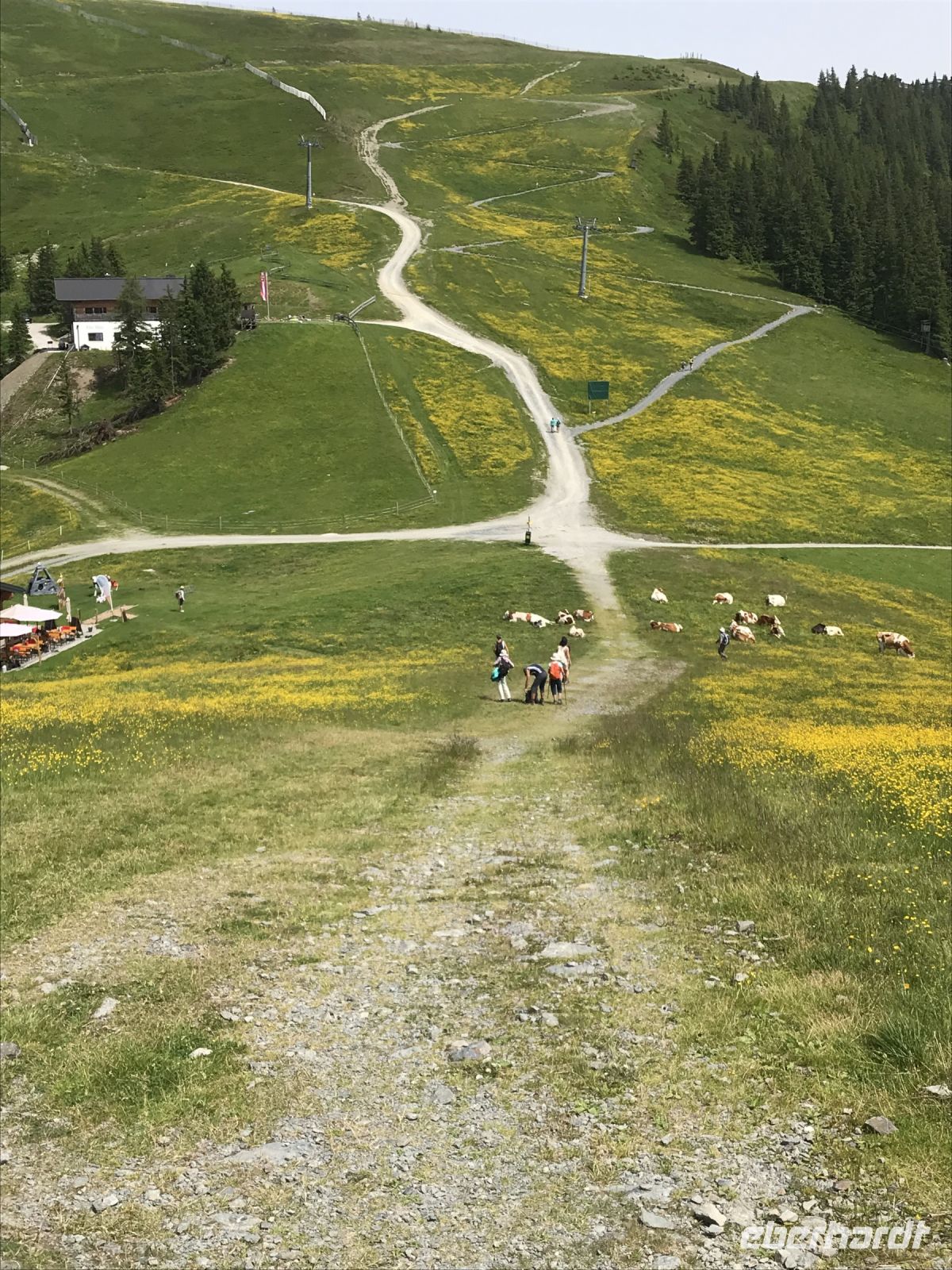 ...da wieder hinauf!