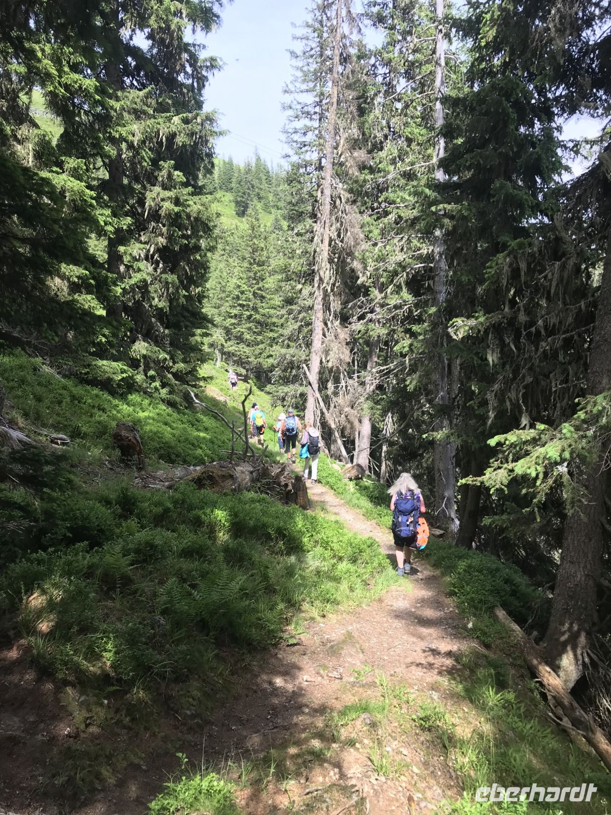 letzte Stück bis zur Gondel - bald geschafft