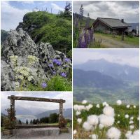 Rundwanderung zur Schwalbenwand & Schönwieskopf