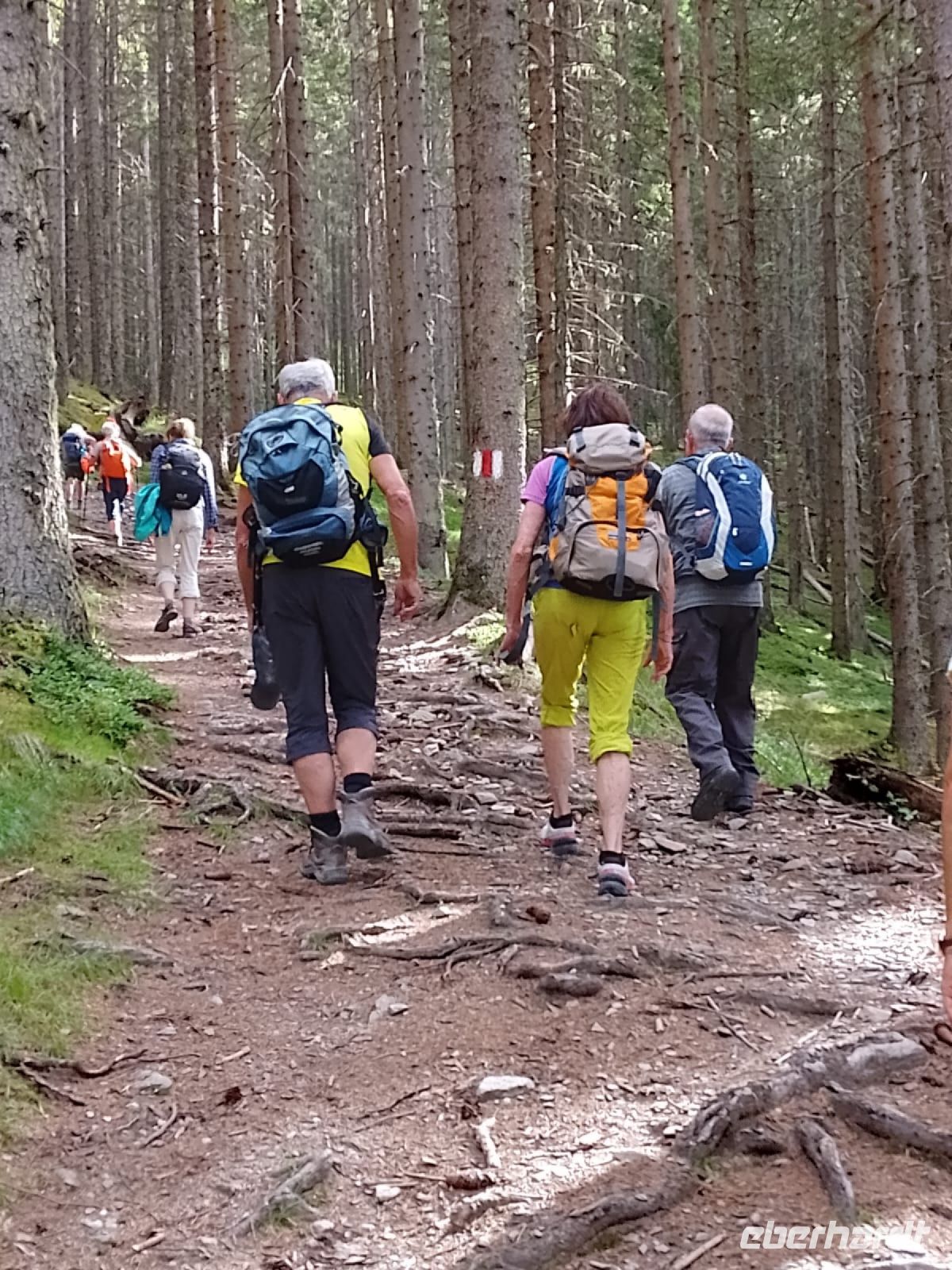 steil bergan und wurzelig