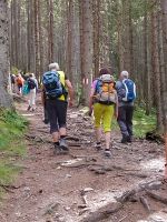 steil bergan und wurzelig